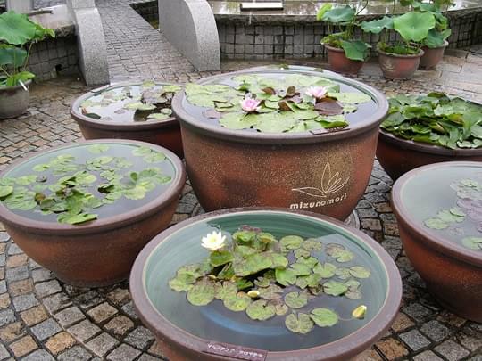 丸滋製陶のこだわり